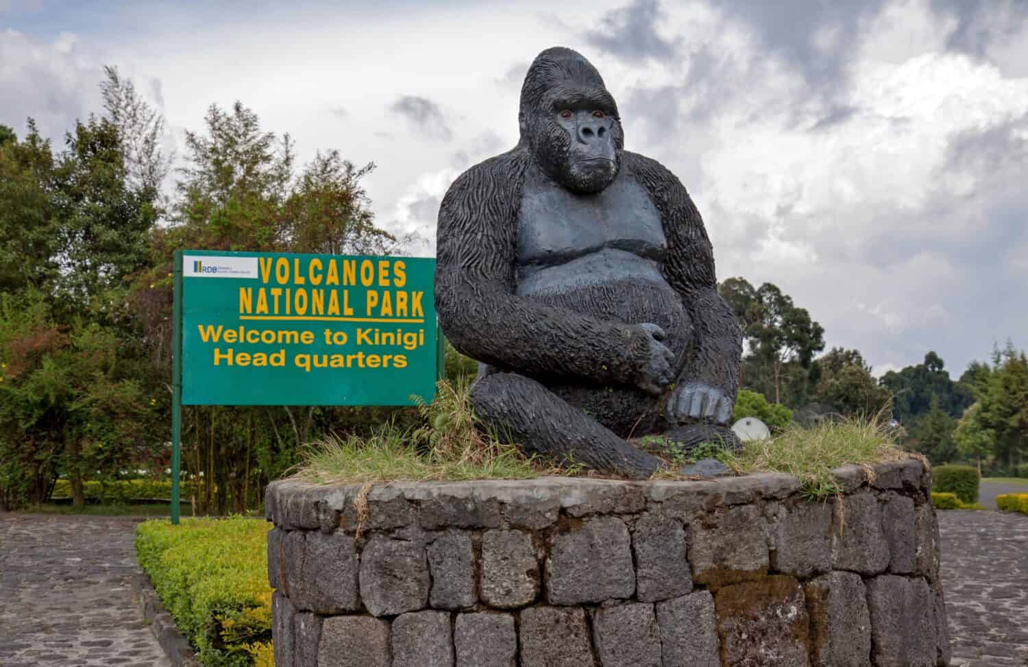Statua di un gorilla di montagna all'ingresso del Parco Nazionale dei Vulcani di Kinigi, Ruanda