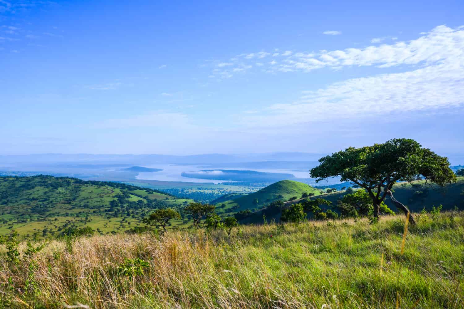 Arrivo al Parco Nazionale Ruanda Africa