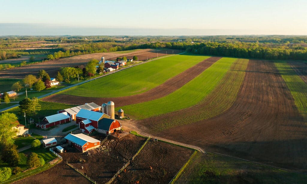 Azienda agricola
