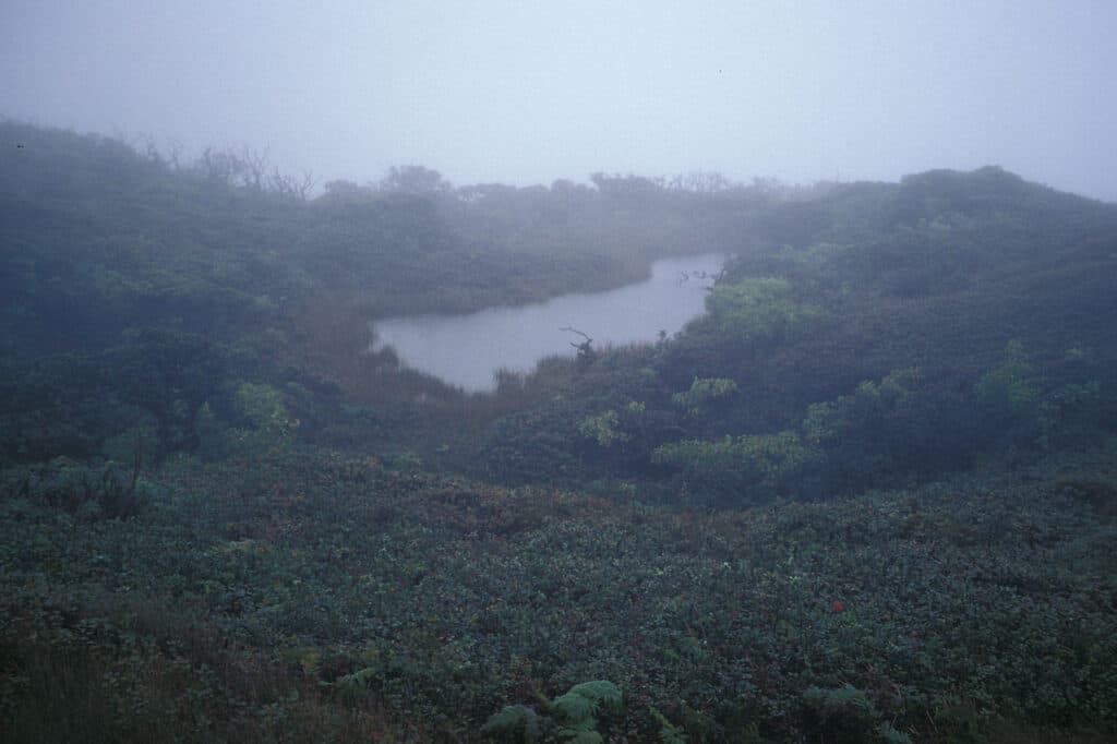 Lago Viola