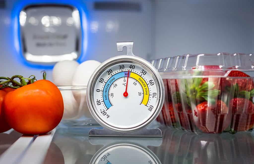 Termometro da frigorifero con alimenti colorati in celle frigorifere. Indicatore di sicurezza per la refrigerazione che mostra la temperatura sicura degli alimenti.