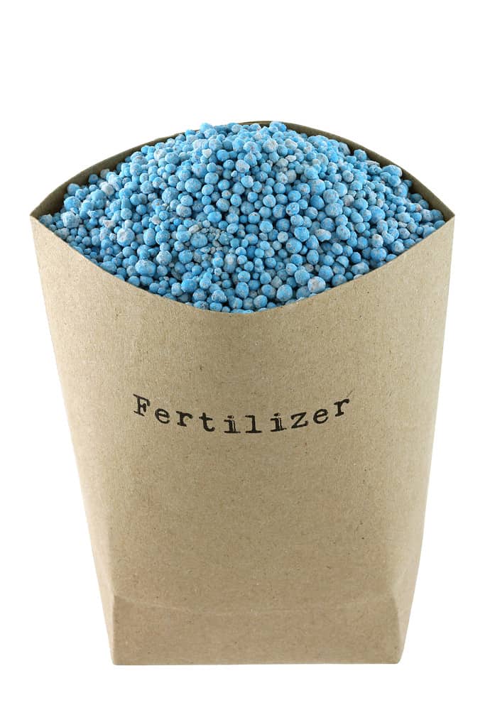 Sacchetto di carta marrone pieno di fertilizzante chimico composto blu NPK isolato su sfondo bianco. NPK sono Azoto, Fosfato, Potassa