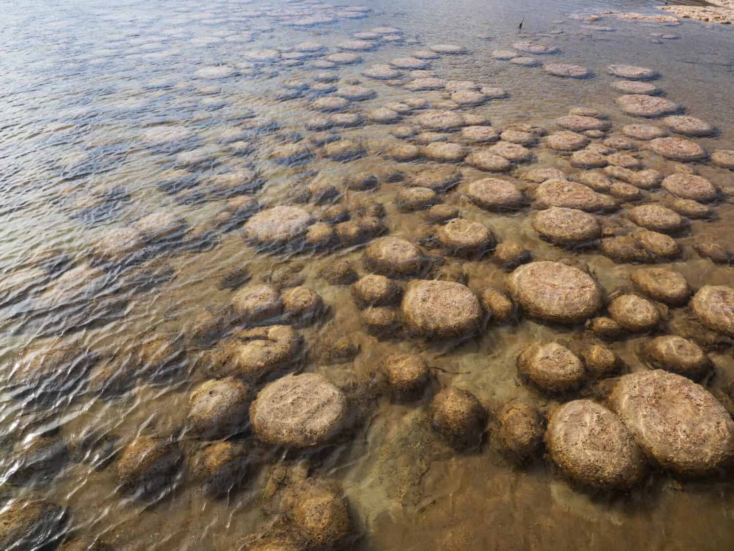Tromboliti nel lago Clifton Western Australia