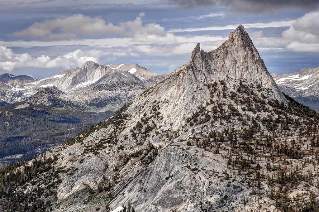 Monte Conness California