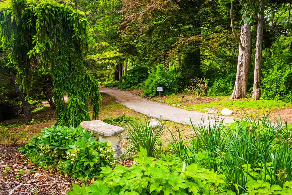 Cylburn Arboretum, Baltimora, Maryland.