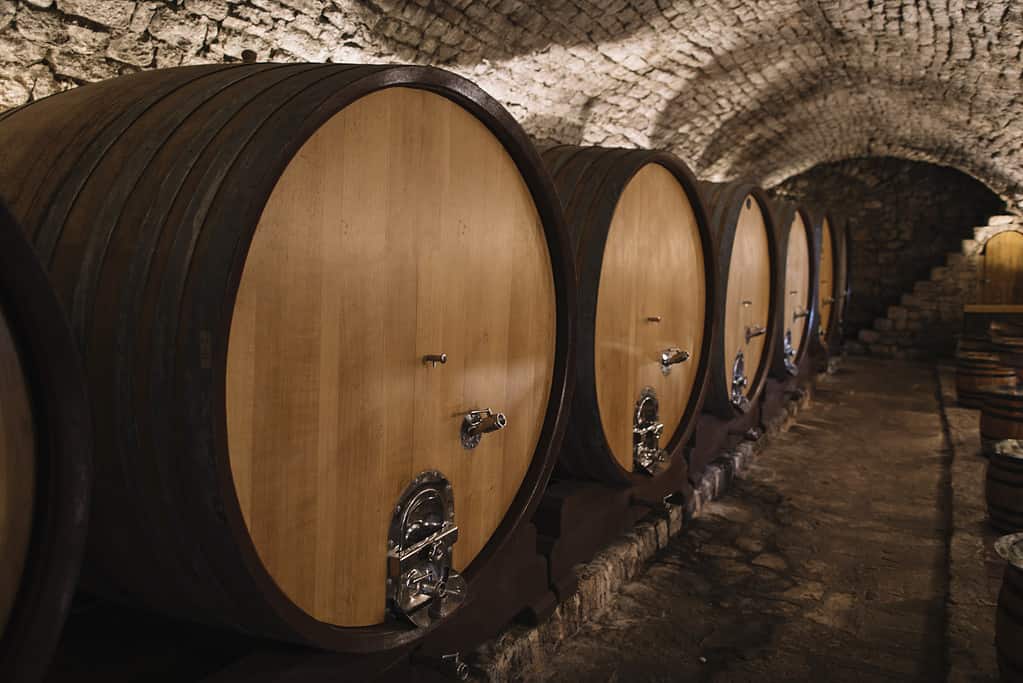 Cantina con botti di vino in fila.