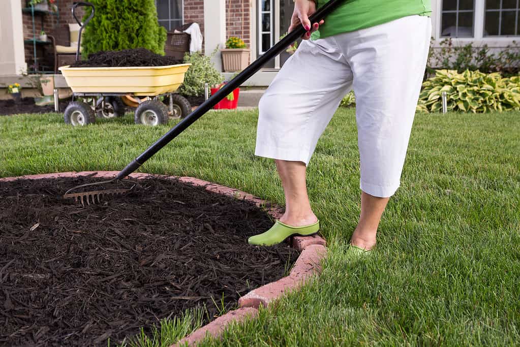 L'aggiunta di pacciame al tuo giardino del Minnesota può proteggere può aiutare a proteggerlo