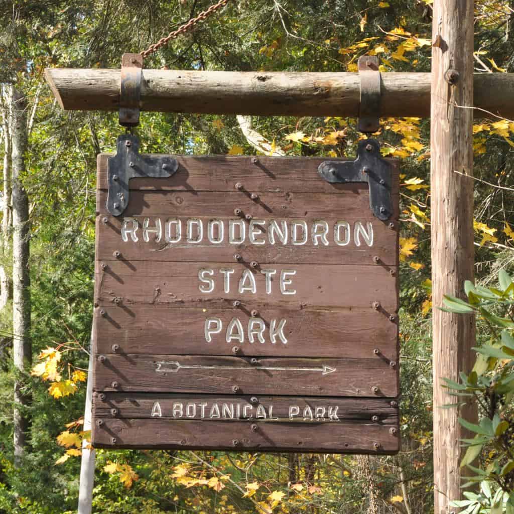 Rhododendron State Park, New Hampshire