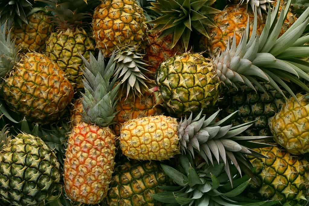 Sfondo di ananas hawaiano