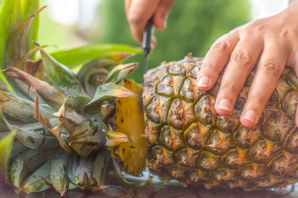 Una persona dalla pelle chiara che affetta un ananas maturo con un coltello affilato su un tavolo.  L'ananas è posizionato orizzontalmente lungo la cornice.  la parte superiore dell'ananas, le sue foglie sono nel riquadro di sinistra.  tre dita della mano sinistra del tagliatore sono visibili nella cornice di destra che tengono l'ananas.  La mano destra sta tagliando la parte superiore dell'ananas. 