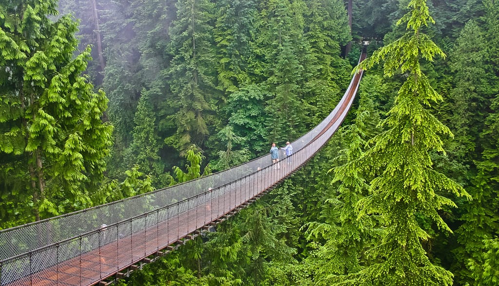 vista areial del ponte sospeso di capilano vancouver canada