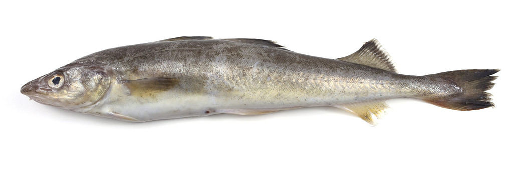 Baccalà allo zafferano