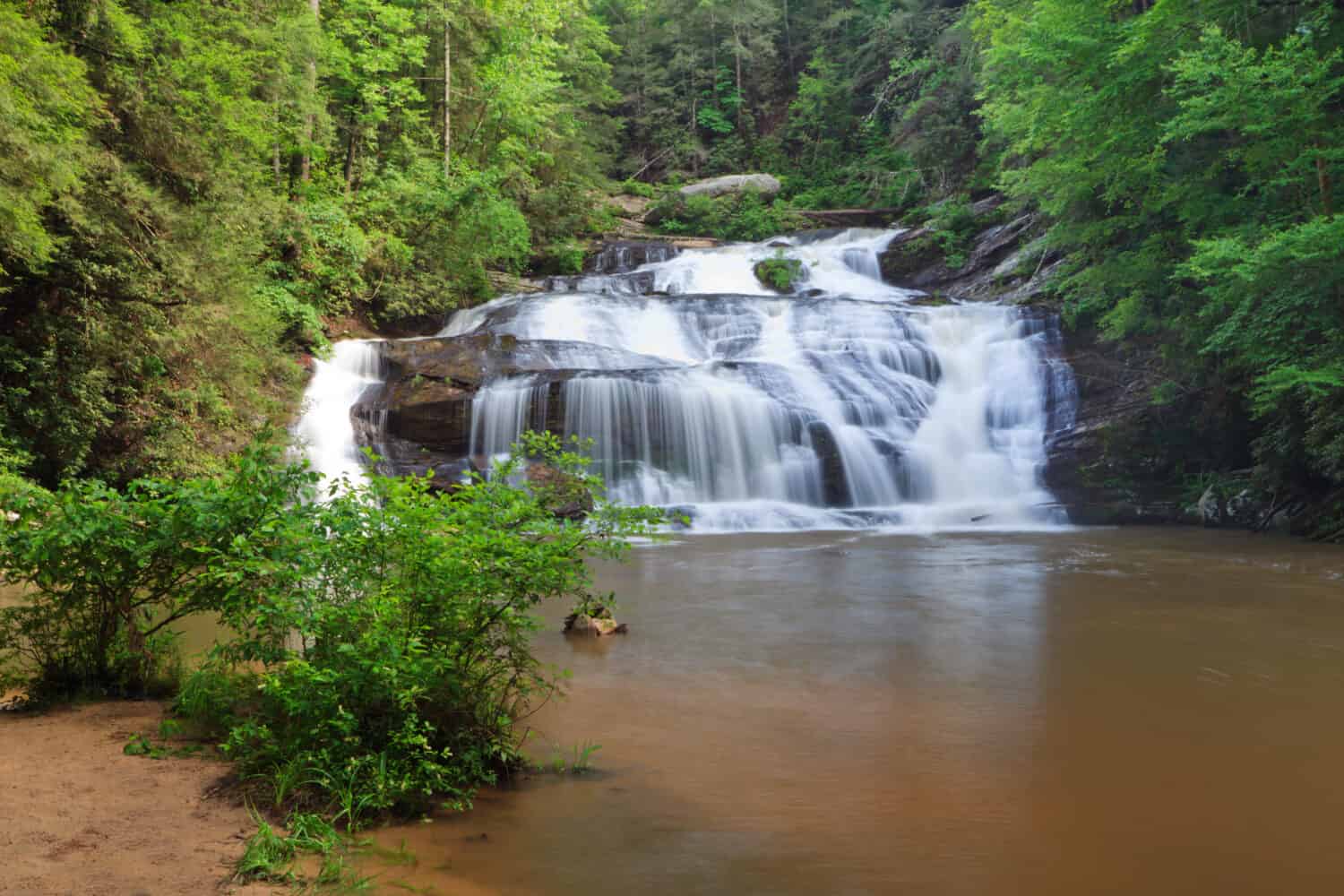 Sentiero Panther Creek, escursione di andata e ritorno di 7,5 ml alle cascate della pantera nel nord della Georgia