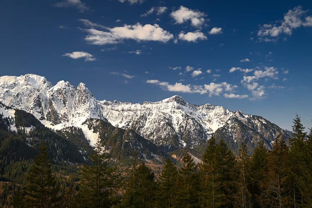 Indice di montaggio