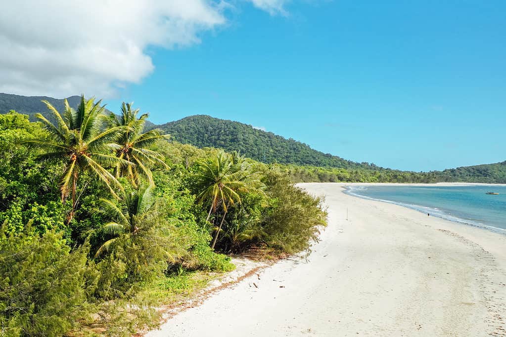 Parco nazionale di Daintree