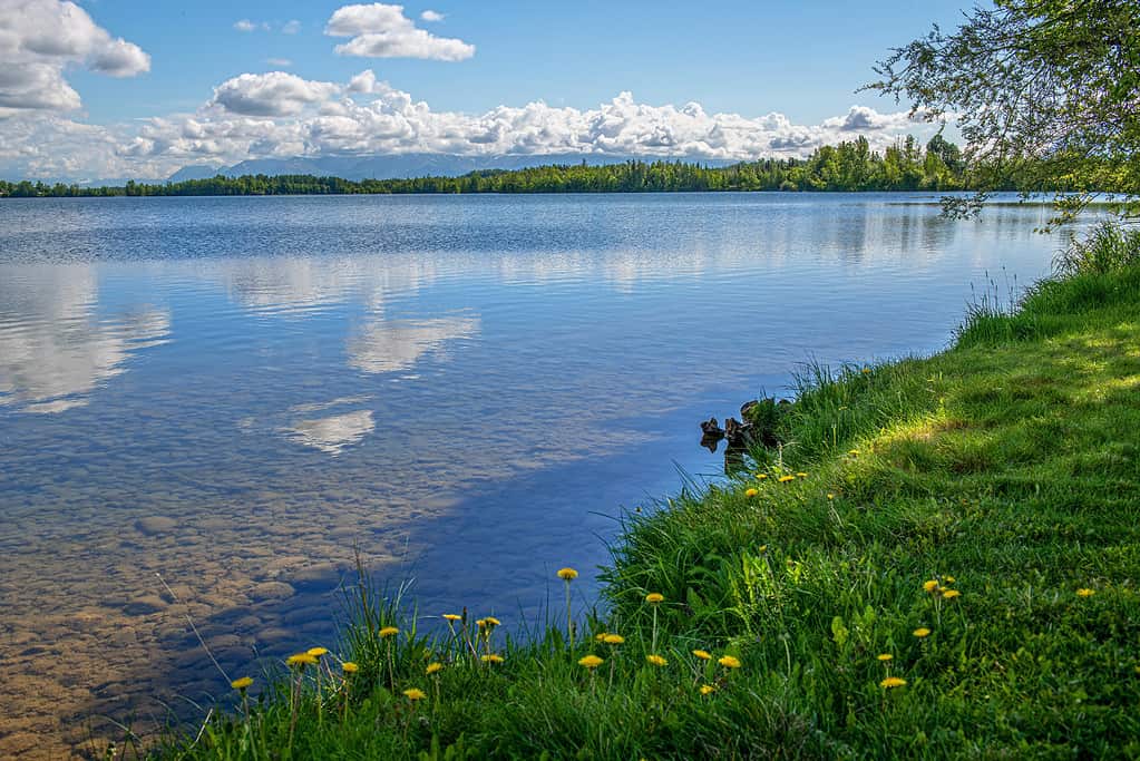L'Alska è uno degli stati più freddi di maggio