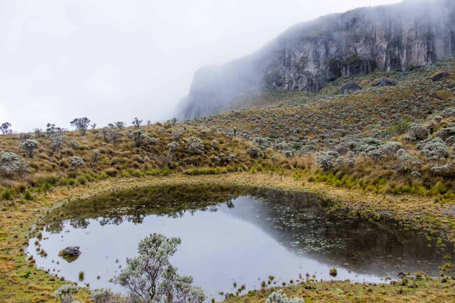 Parco Naturale Nazionale Los Nevados, Colombia