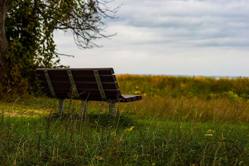 Spiaggia, Costa, Erba, Grandi Laghi, Composizione orizzontale