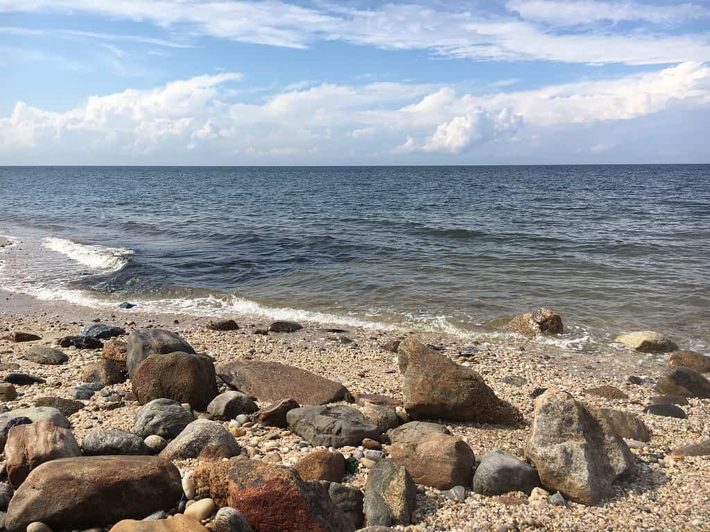 Wildwood State Park: il miglior campeggio vicino a New York City