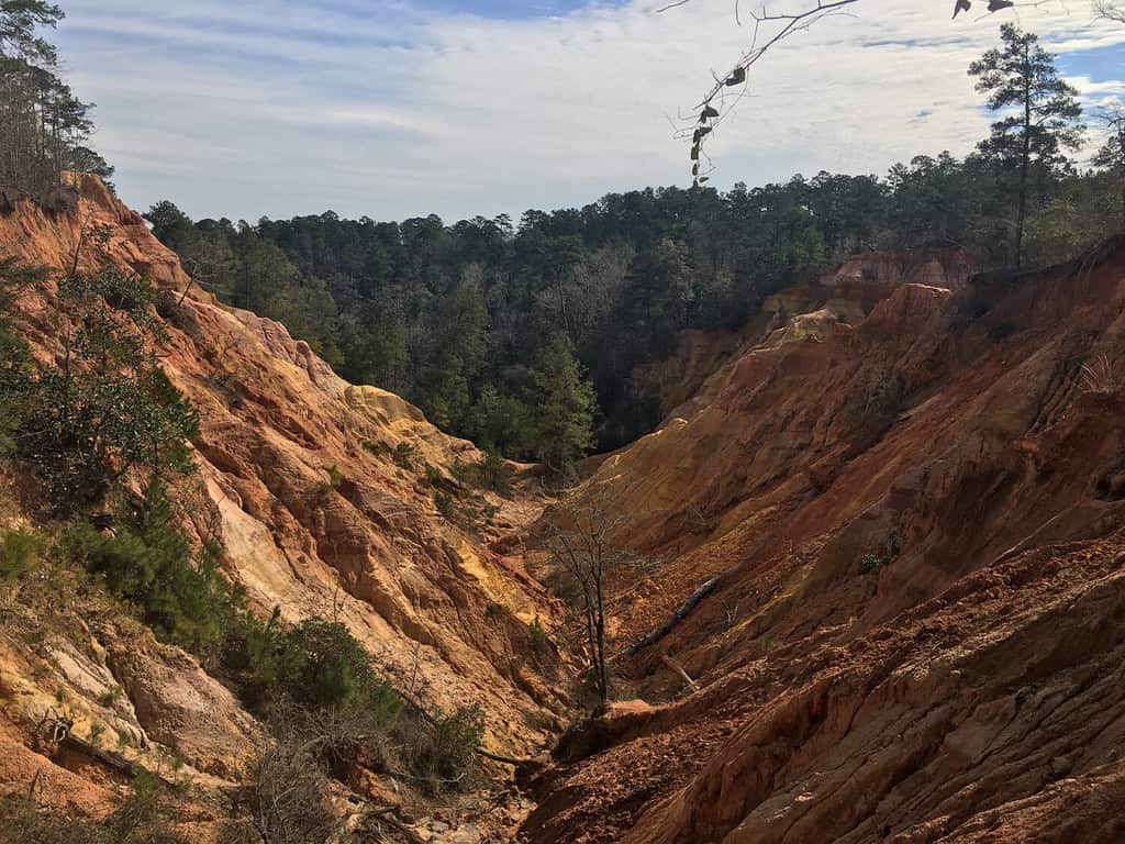 Immagine di Red Bluff, Mississippi