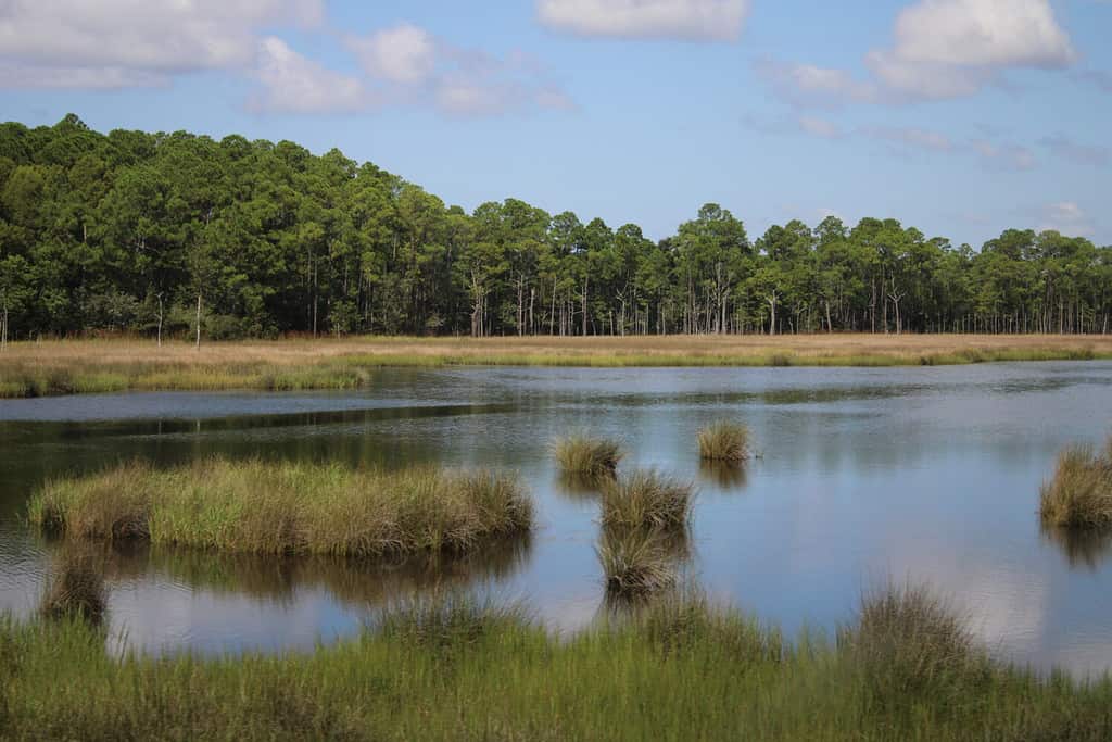 Mississippi Bayou a Ocean Springs