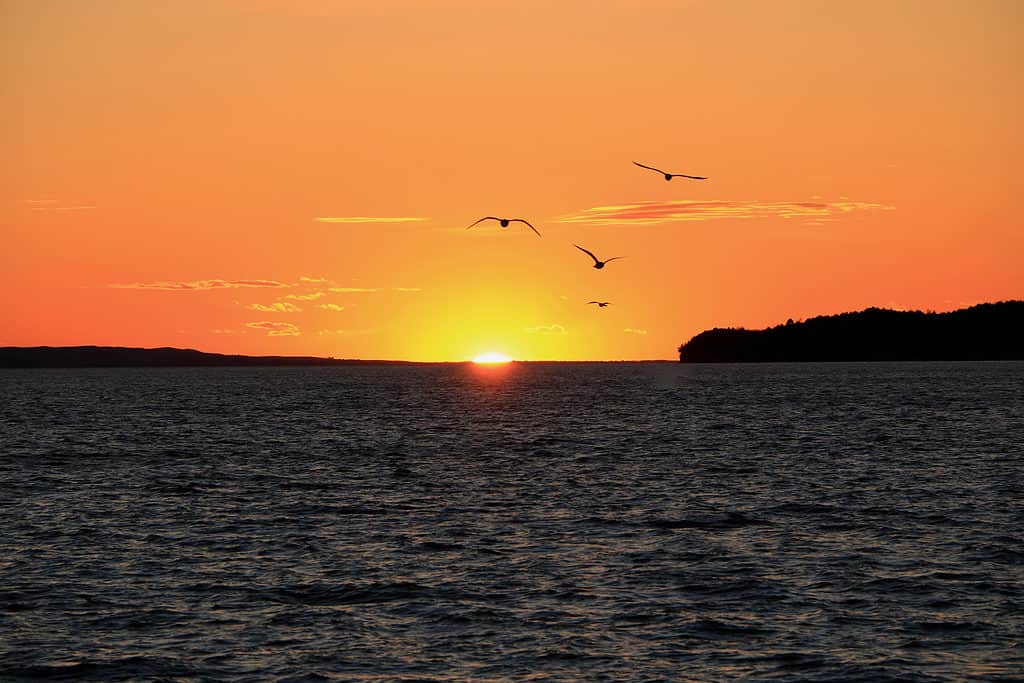 Lewis e Clark Lake Alba / Tramonto nel Sud Dakota.  L'acqua sembra scura e il cielo è arancione.