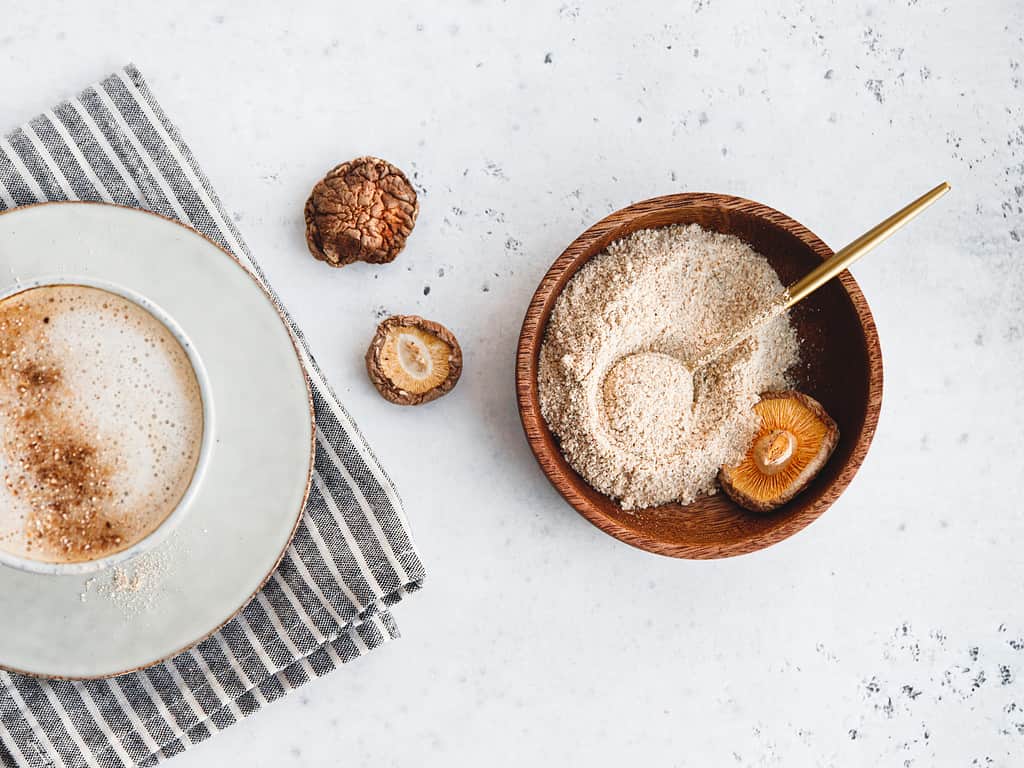 Polvere di funghi shiitake