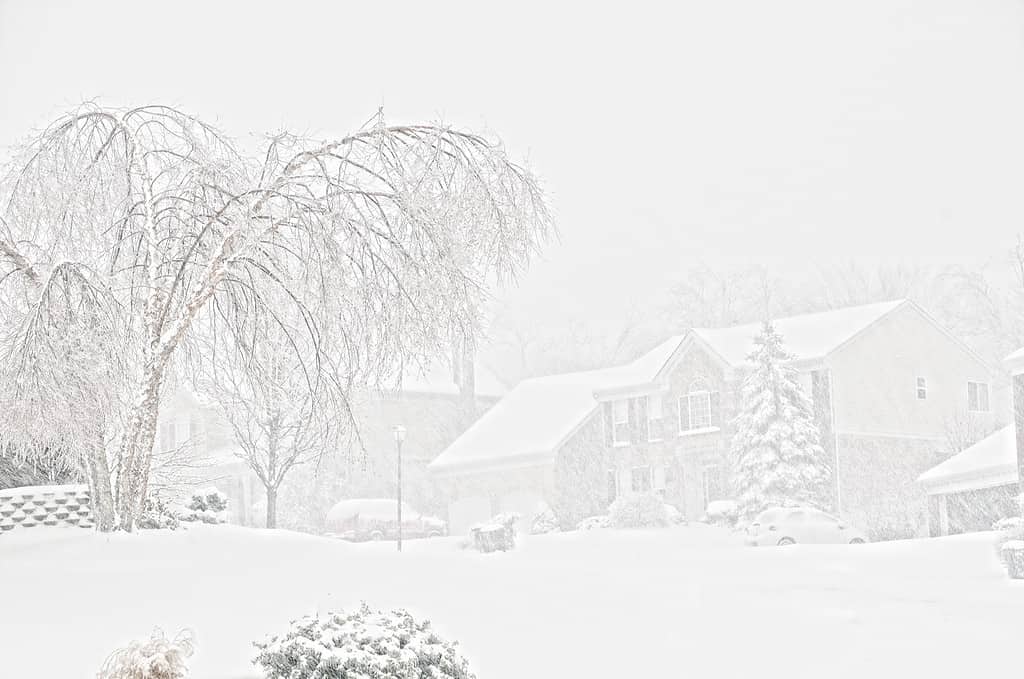 Bufera di neve del Kentucky
