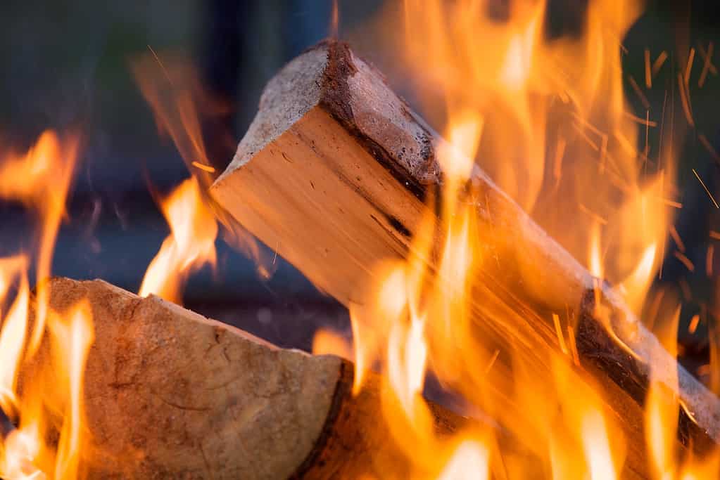 catasta di legna in fiamme