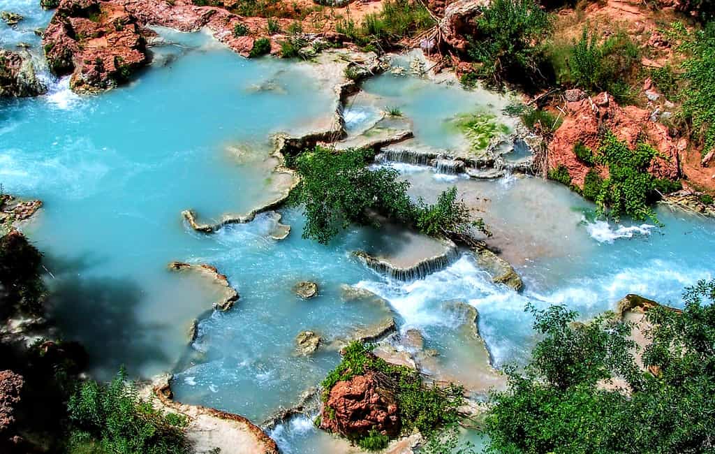 Havasupai cade, castoro cade Arizona