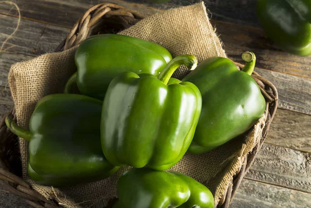 Peperoni verdi