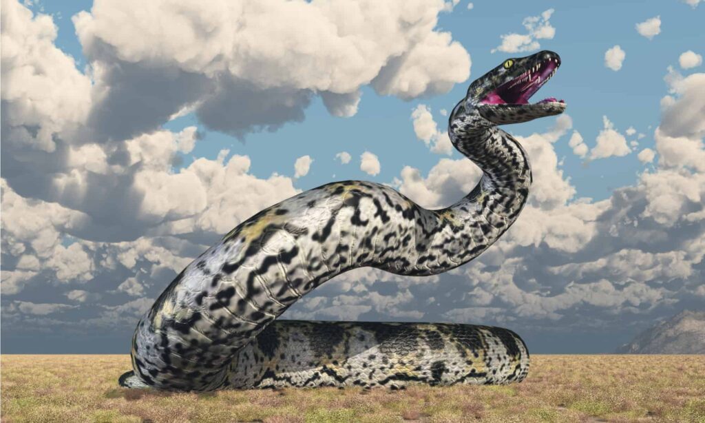 Titanoboa sui prati