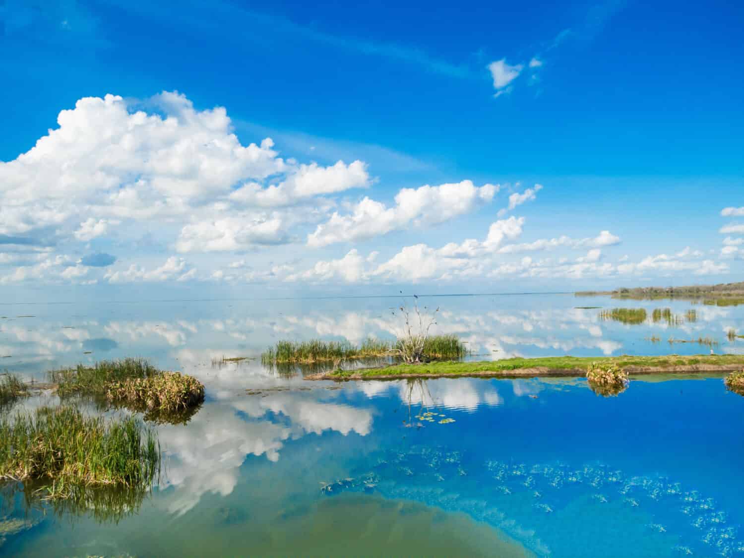 Lago Apopka con nuvole e cielo blu al Winter Garden Florida