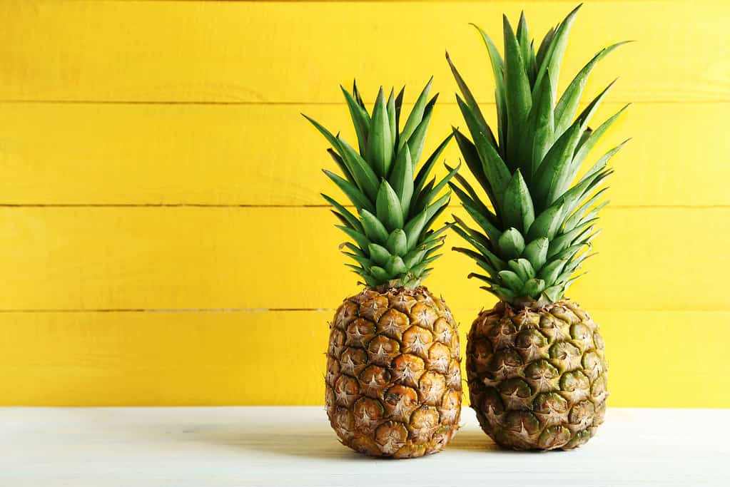 Ananas maturi su un tavolo di legno bianco.  sfondo muro giallo.