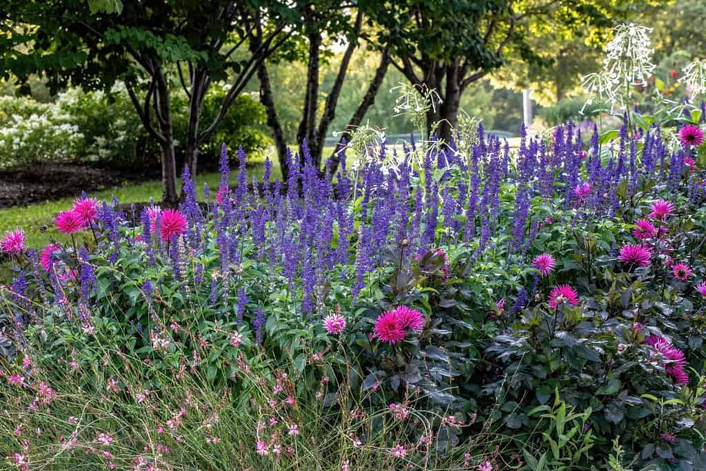 Giardini Longfellow a Minneapolis