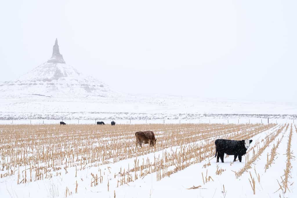 Bayard Nebraska durante l'inverno