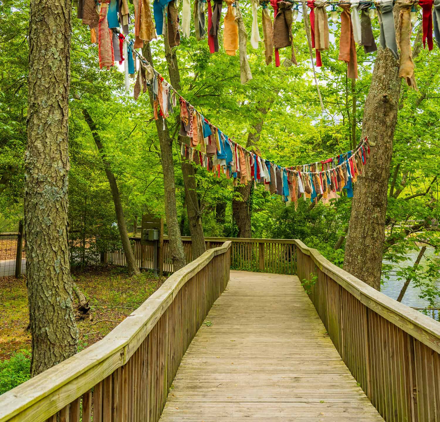 strisce colorate di tessuto pendono da corde sopra la passerella all'interno dello zoo di Cohanzick a Bridgeton, nel New Jersey