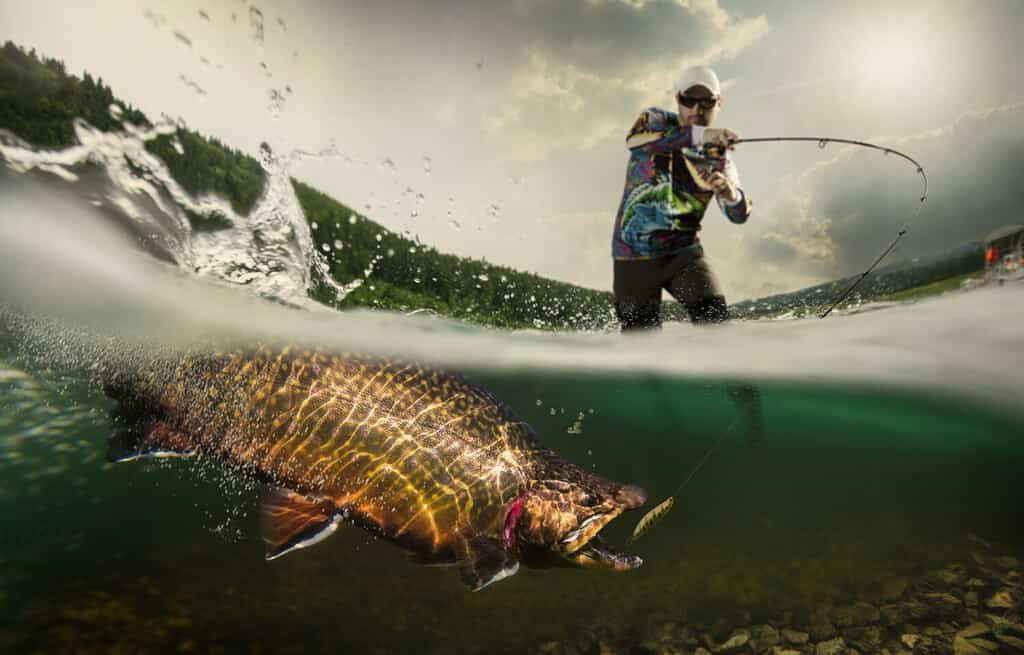 Pesca.  Pescatore e trota, vista subacquea