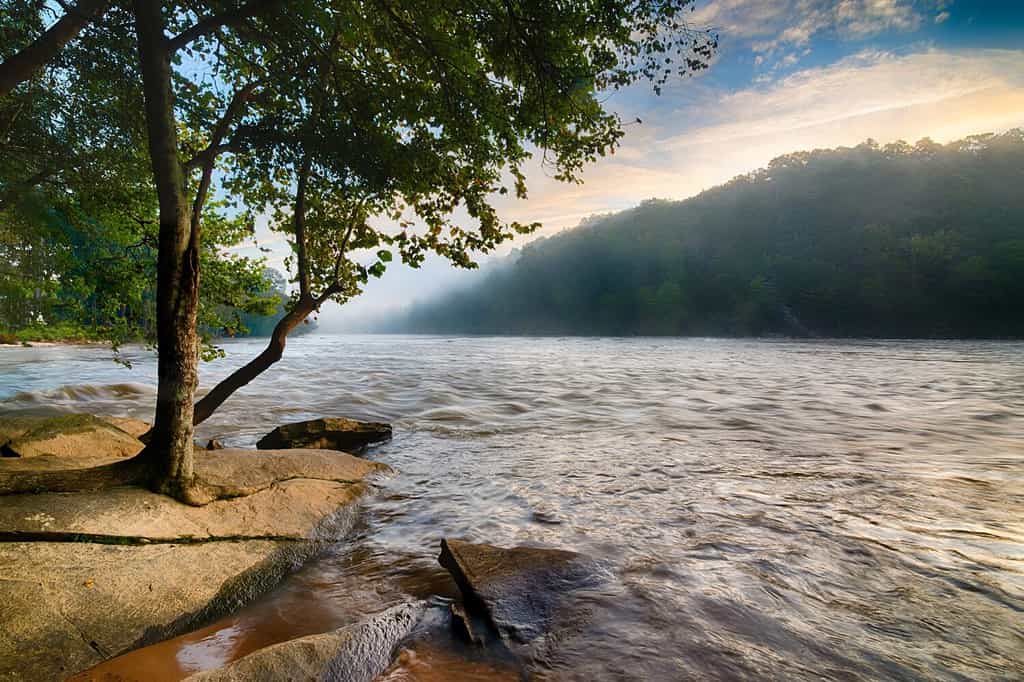Scena di prima mattina sul fiume Chattahoochee ad Atlanta, GA