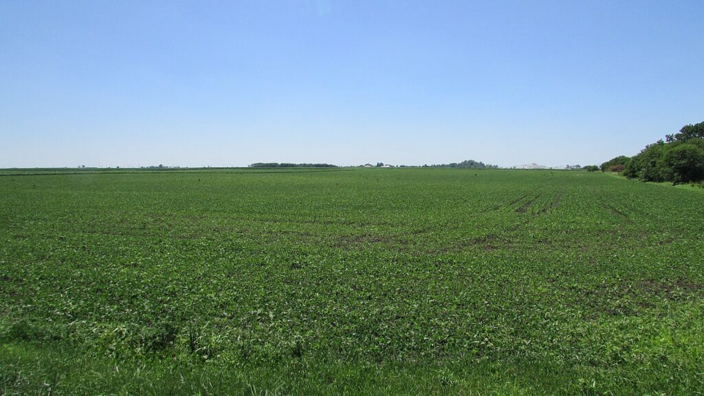 Il cratere Kentland Kentucky