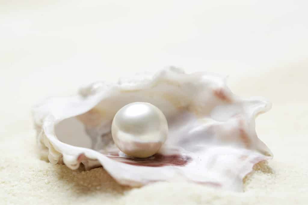 Immagine ravvicinata della perla organica in una conchiglia