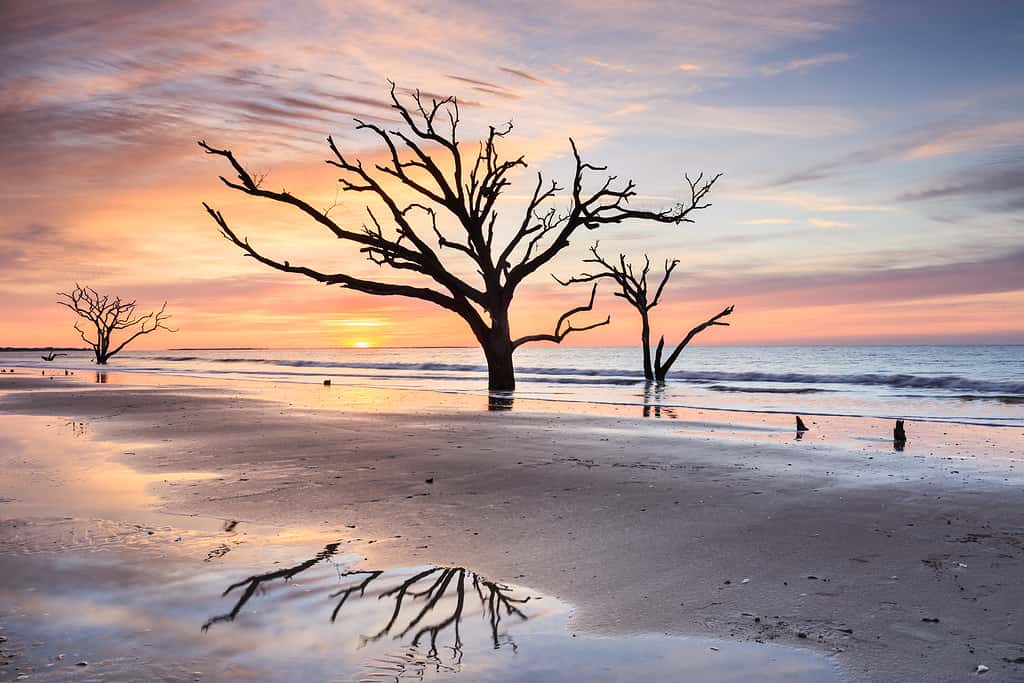 Edisto Beach Carolina del Sud