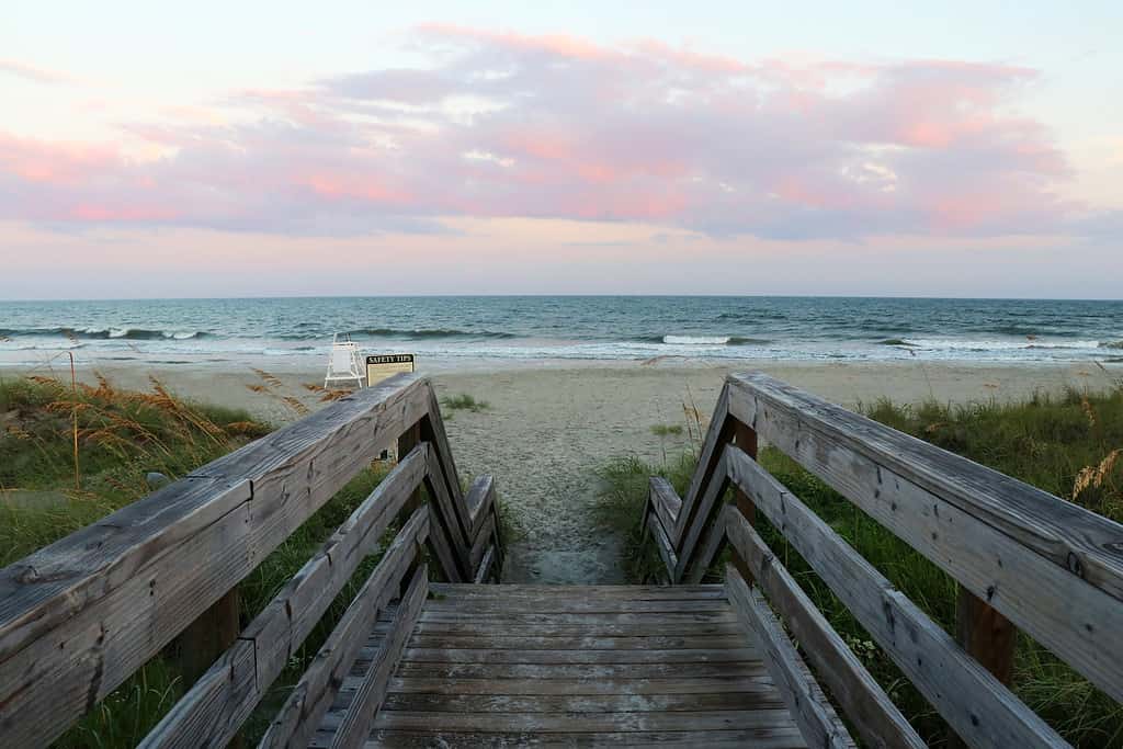 Huntington Beach State Park Carolina del Sud