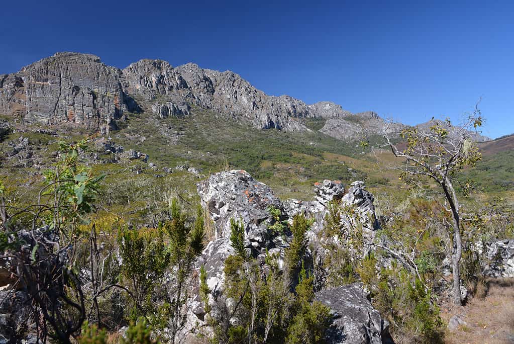 Le montagne Chimanimani si trovano al confine tra Zimbabwe e Mozambico.