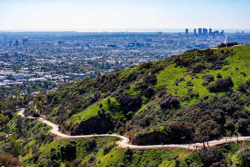 Sentiero del Griffith Park fino all'insegna di Hollywood