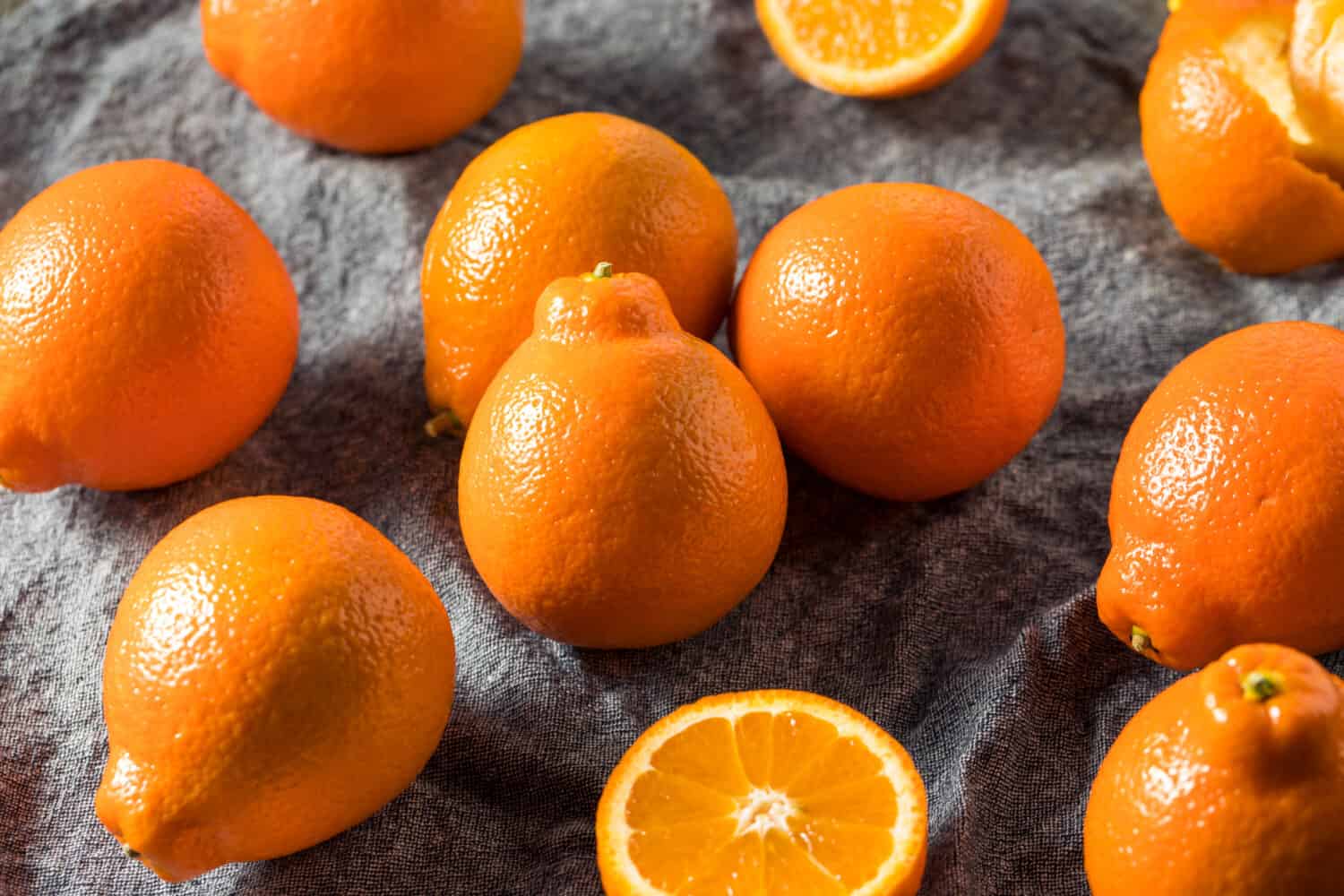 Raw Orange Organic Mineola Tangelo Fruit Ready to Eat