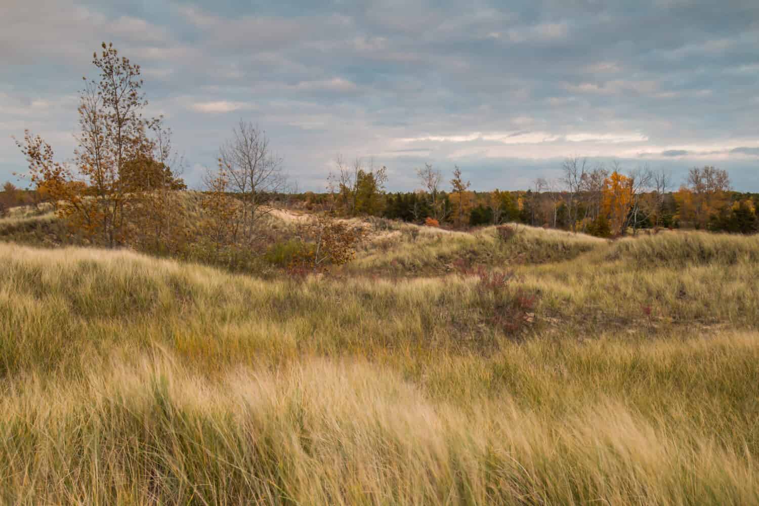 Port Crescent State Park e Hawk Watch