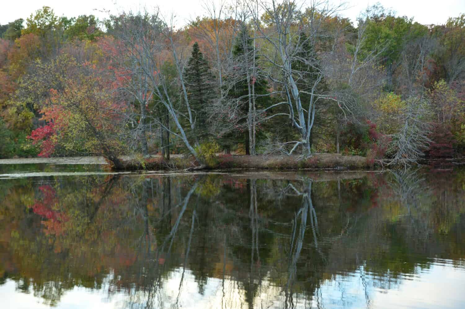 Riflessioni paesaggistiche del fogliame tardo autunnale al French Creek state Park Pennsylvania