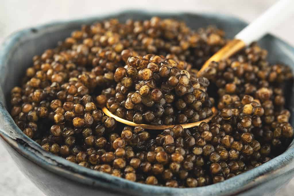 caviale d'oro