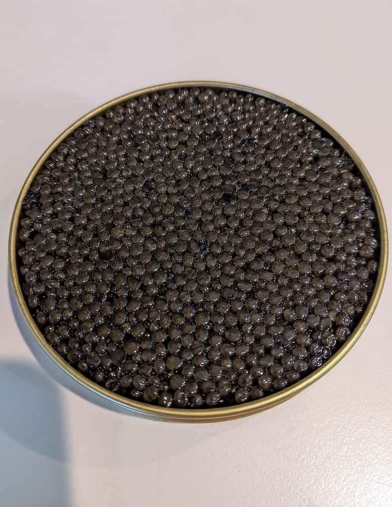caviale di ossatra